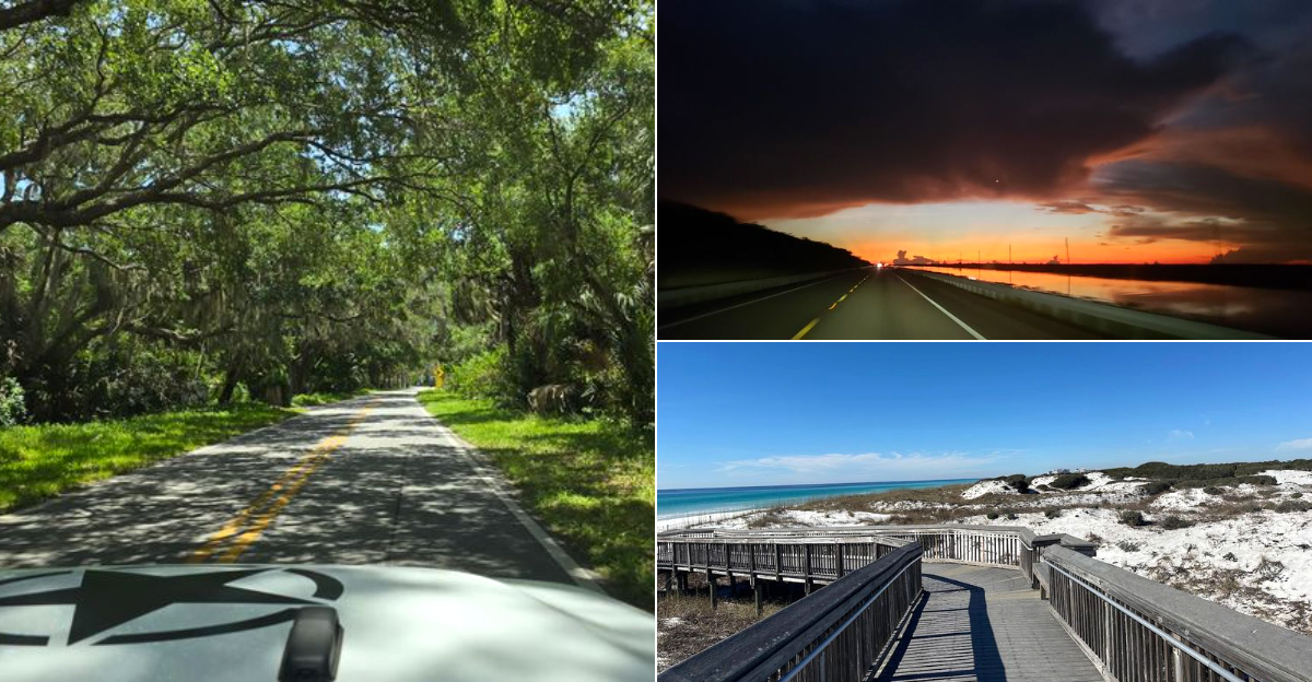 Trade The Crowds For These 10 Florida Weekend Drives That Feel Like A Vacation