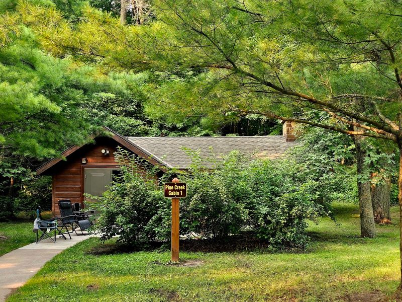 Cabins Hidden In The Trees