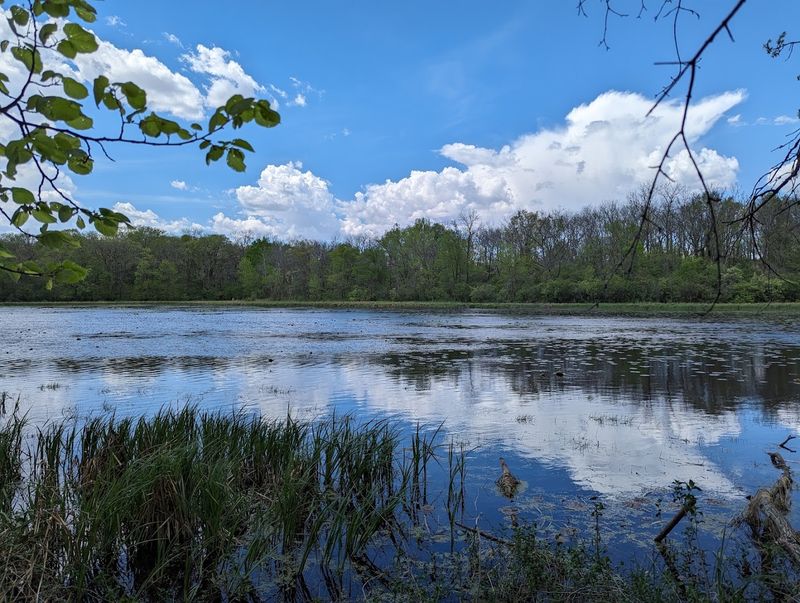 Dead Man's Lake Holds Living Secrets