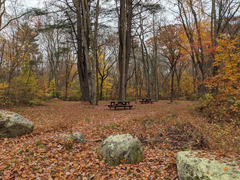 Campgrounds, Picnic Stops, and Staying a Little Longer