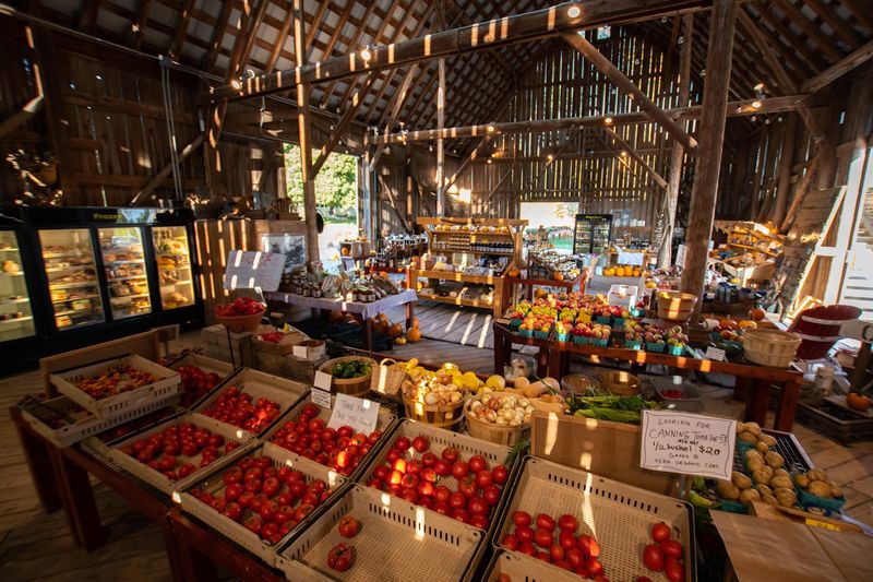 Coveyou Scenic Farm, Petoskey, Emmet County