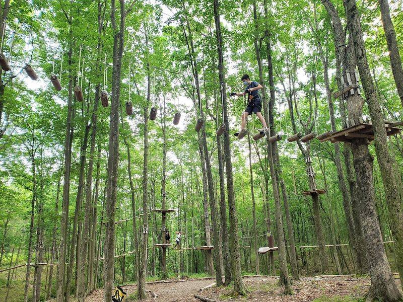 Gorilla Grove Treetop Adventures at Kalahari Resort