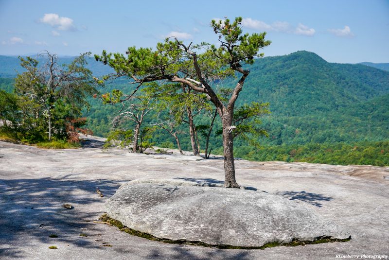 Hidden Spots Like Wolf Rock and Cedar Rock