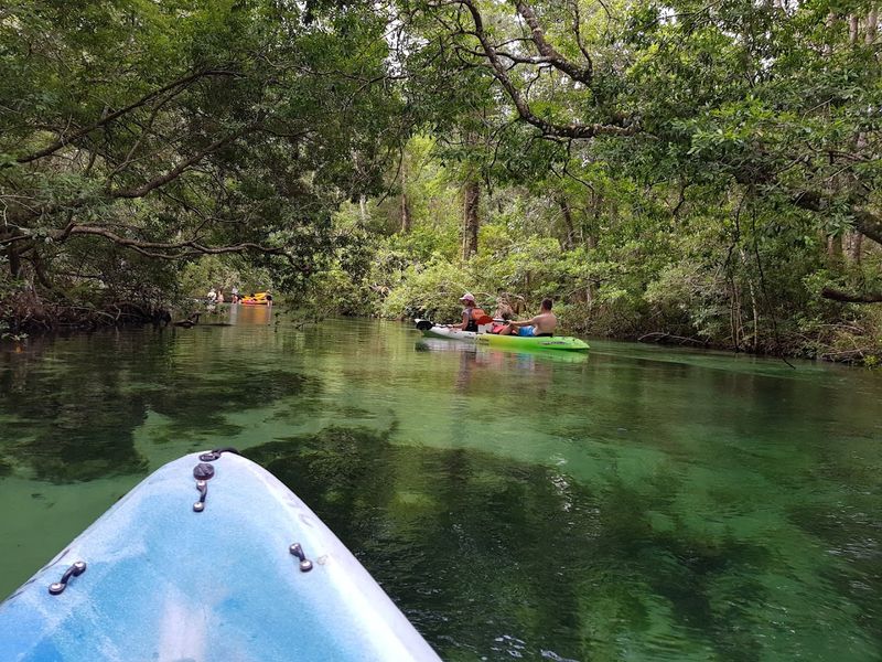Kayaking the emerald spring river - Weeki Wachee
