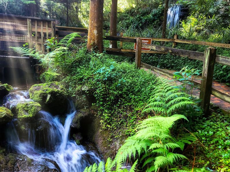 Azalea Gardens and Botanical Paths