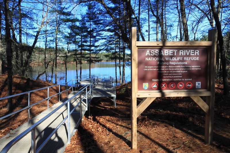 Accessible Features Welcome Every Visitor
