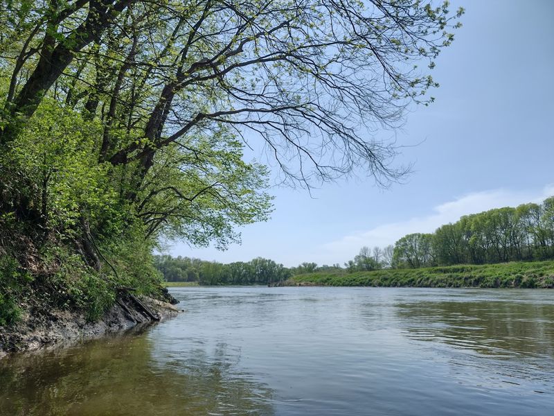 Maquoketa River - Manchester