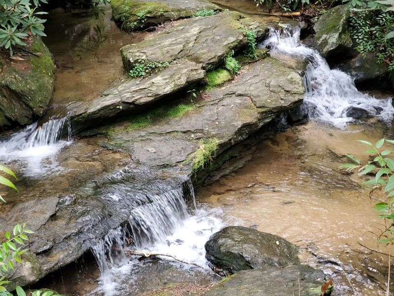 Wildcat Branch Falls, Cleveland, Greenville County