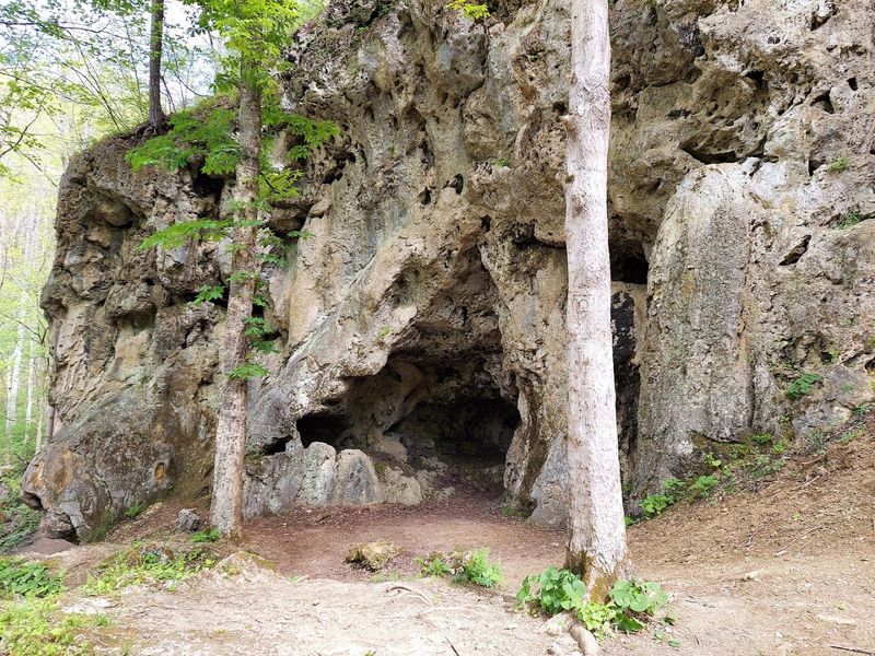 Falls Ridge Preserve - Wintergreen, Nelson County