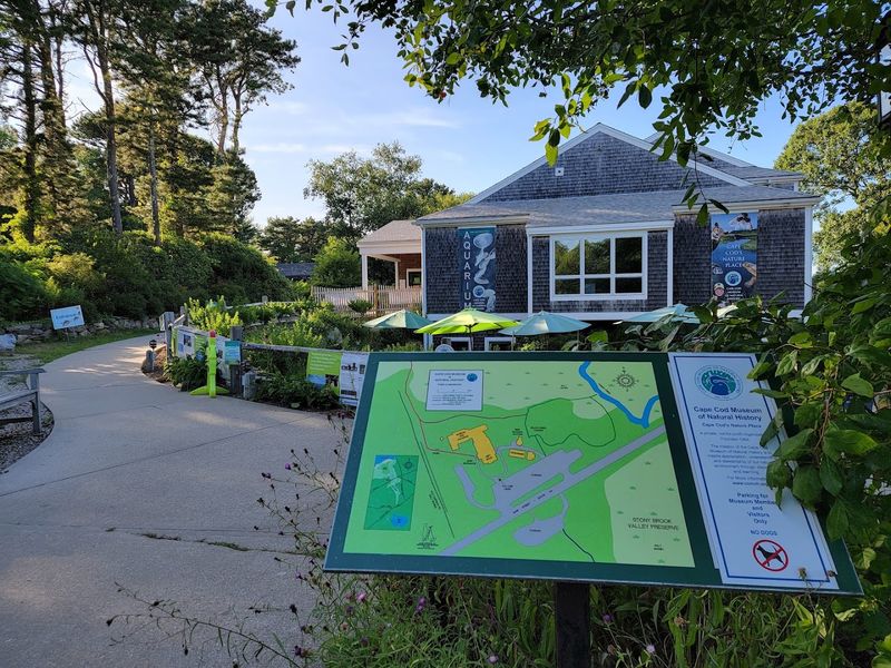 Cape Cod Museum of Natural History - Brewster