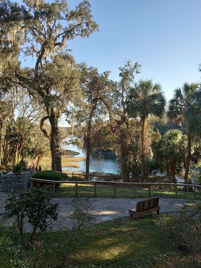 Shaded Picnic Areas