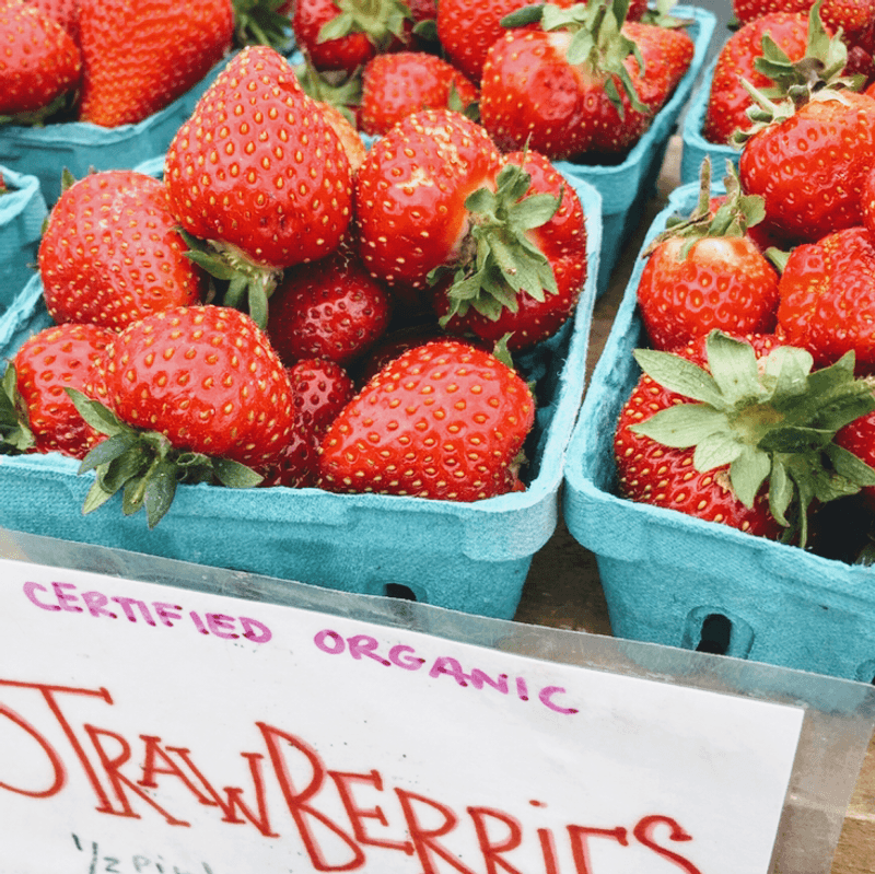 Brookline Farmers' Market