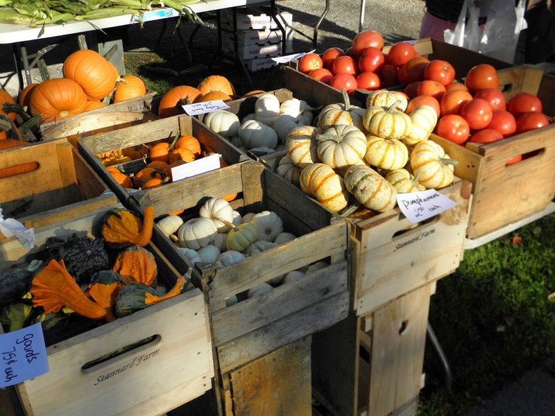 Saratoga Farmers' Market 