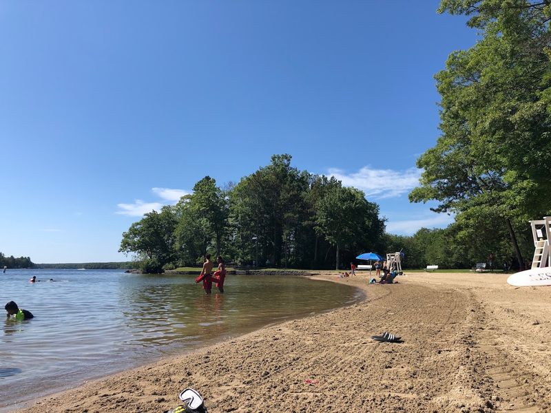 Douglas State Forest - Wallum Lake Beach - Douglas