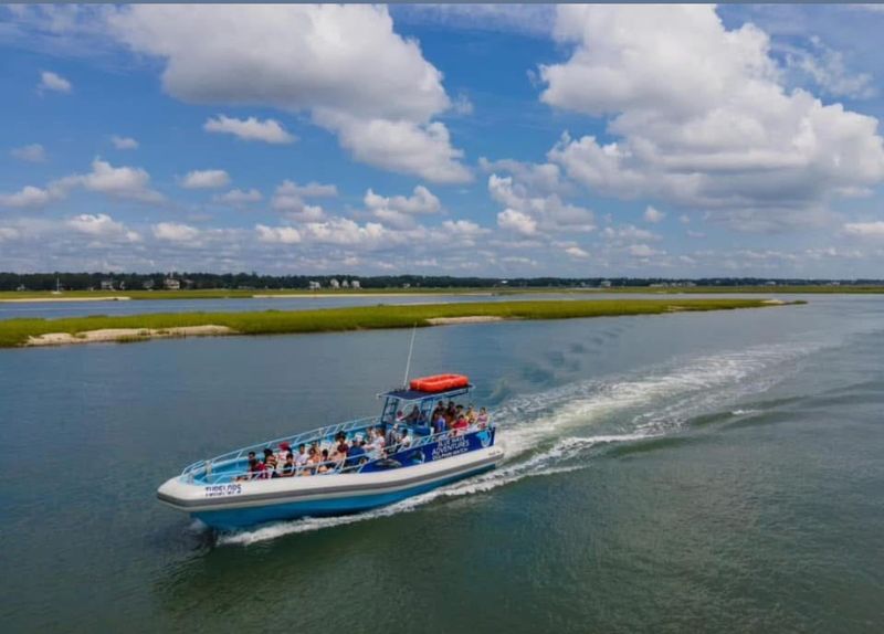 Blue Wave Adventures Dolphin Watch Tour
