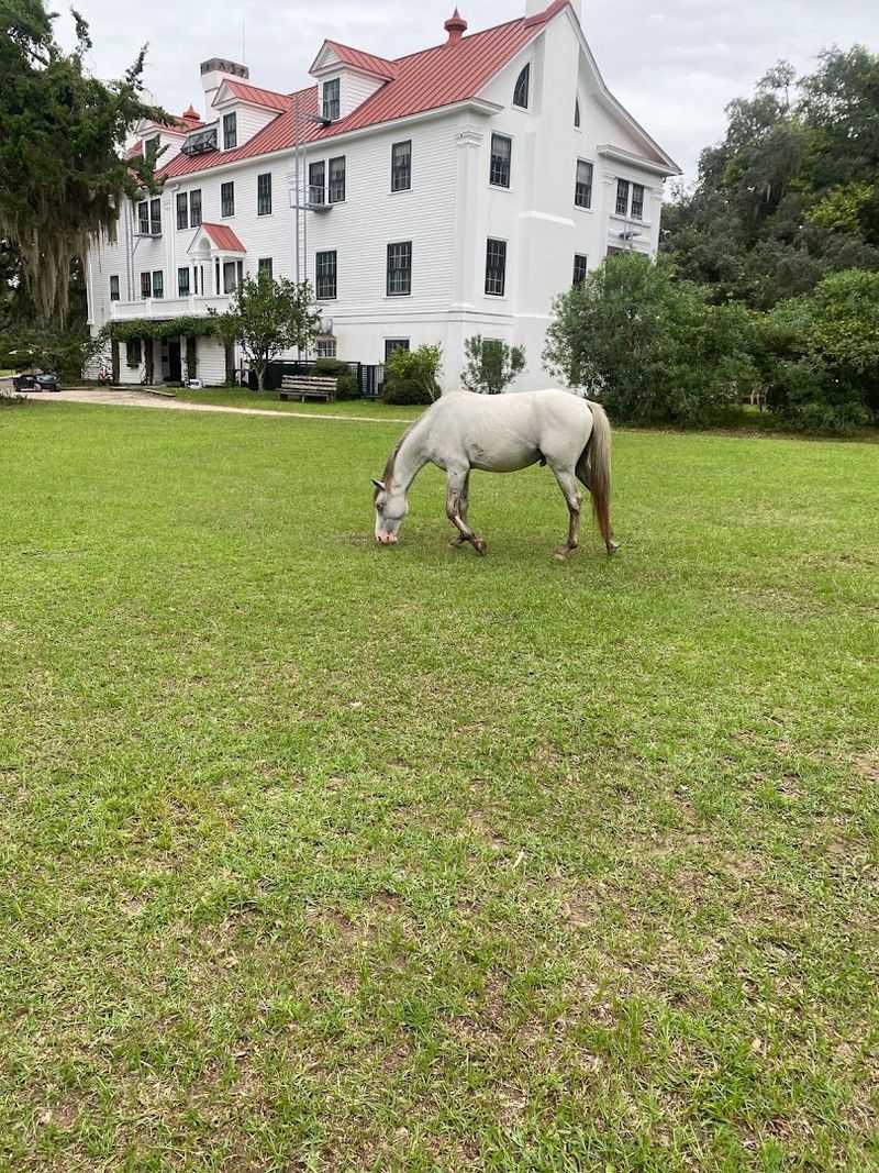 Greyfield Inn &mdash; Cumberland Island