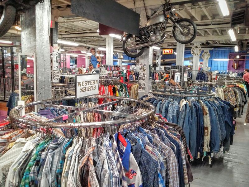 Contemporary Fashion at Discount Prices