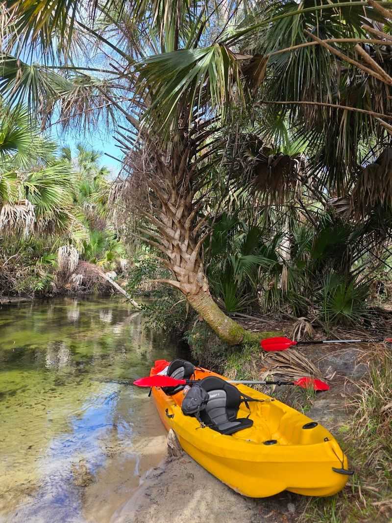 Juniper Springs Run