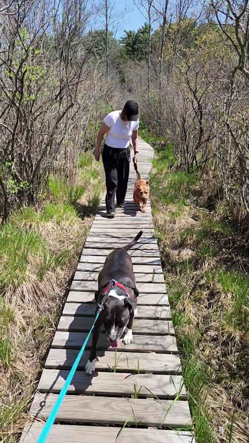 Nature Walk at White Memorial Conservation Center