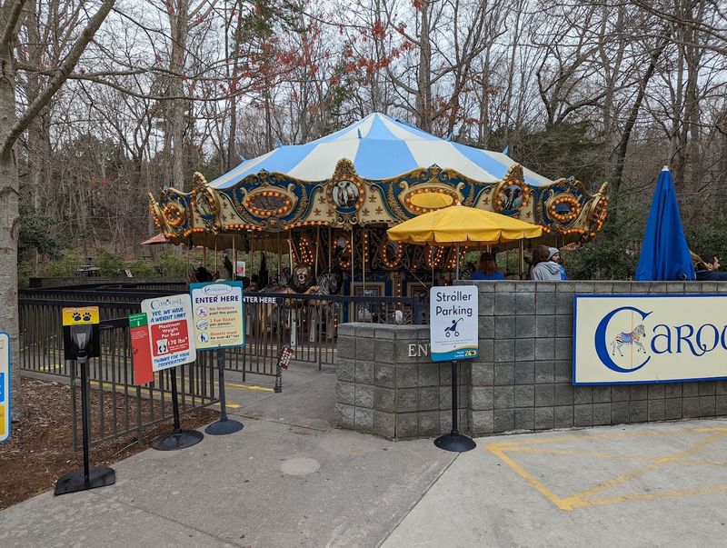 Family-Friendly Attractions Beyond the Animals