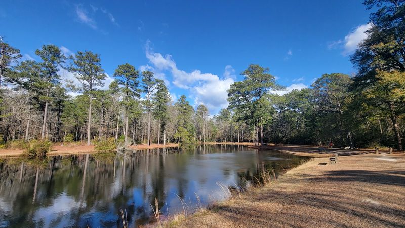 Artesian Wells And The Park's Historic Character