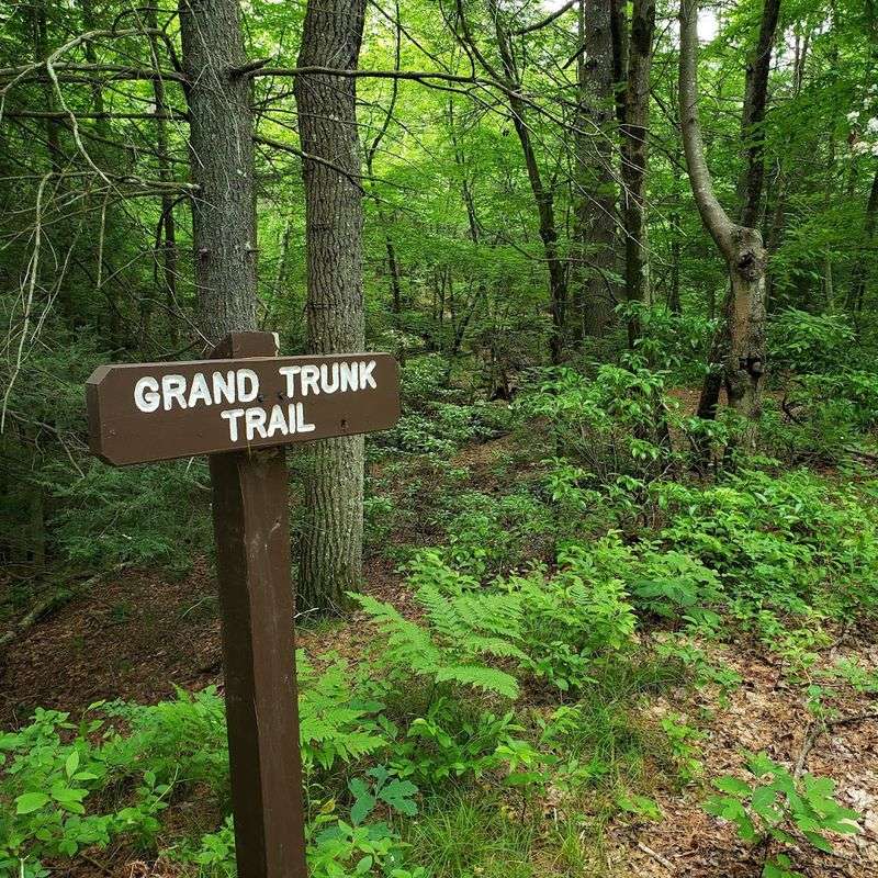 Trails For Every Kind Of Hiker