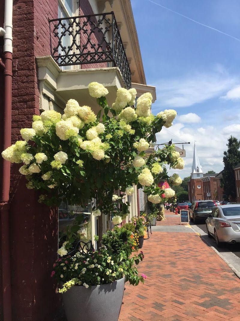 Historic Downtown Lexington