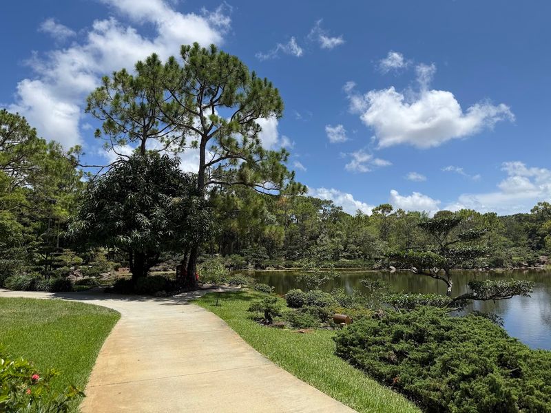 Explore serene Japanese gardens and share lunch at the cafe at Morikami Museum and Japanese Gardens