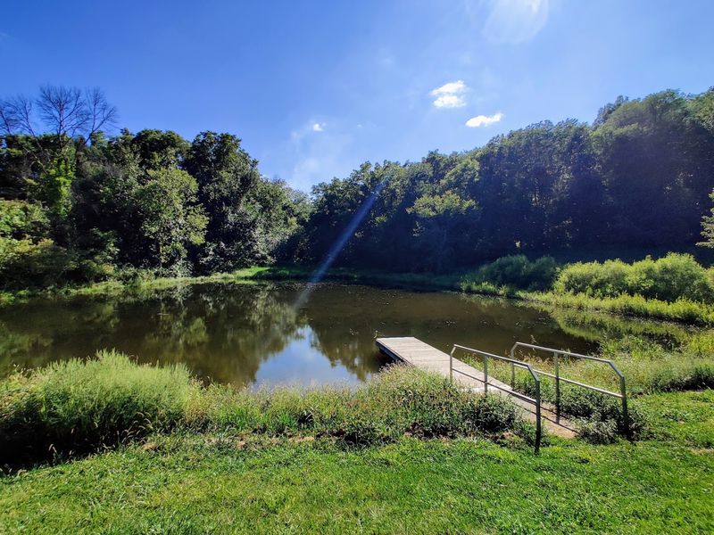 Riverside Fishing Holes: Quiet Pursuit Along the Water