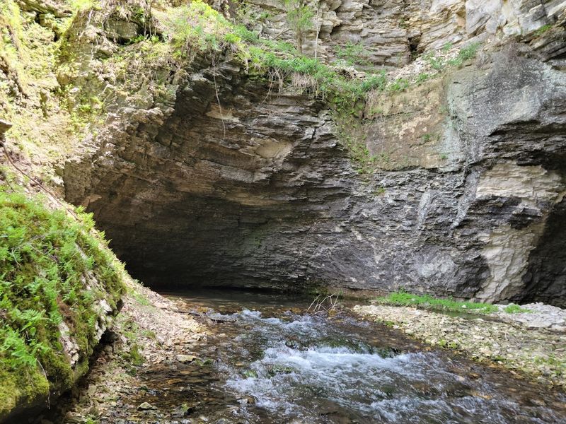Cold Water Spring State Preserve