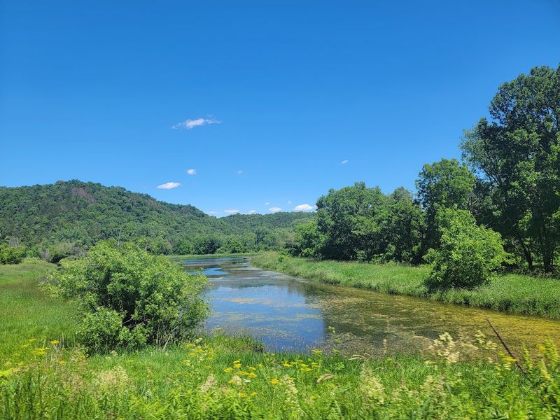 Yellow River State Forest, Harpers Ferry, Allamakee County