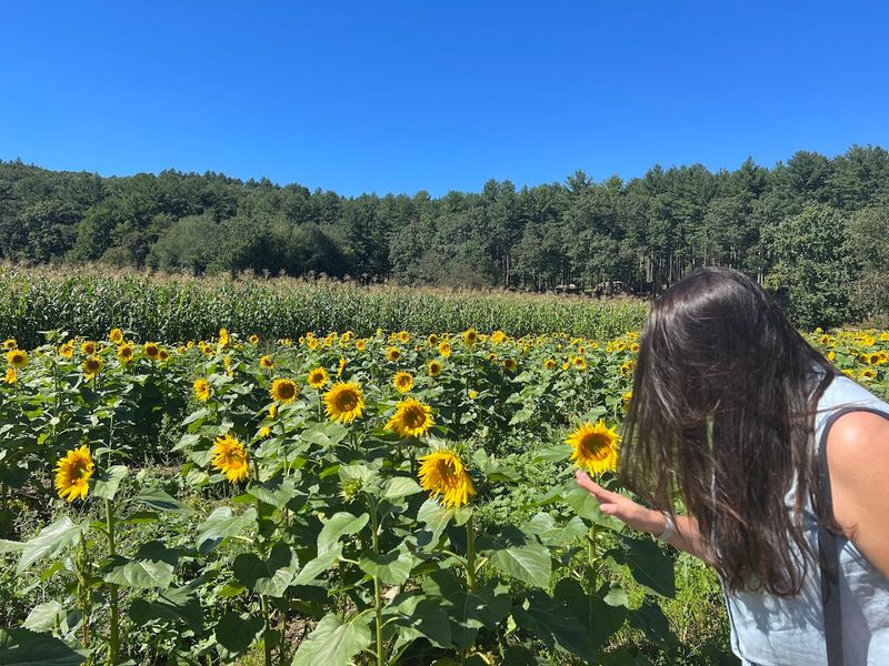 Hanson's Farm - Framingham, Middlesex County