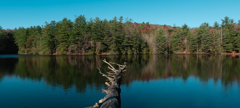 Cohutta Wilderness Scenic Byway - Chatsworth, Murray County