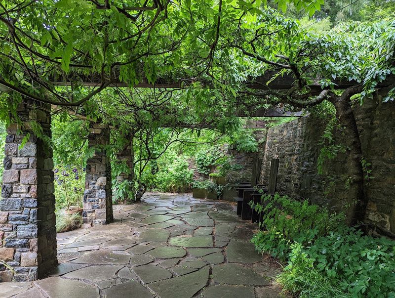 Shade Gardens That Prove Sunless Doesn't Mean Colorless