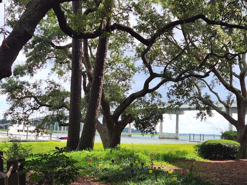 Waterfront Mornings That Feel Special