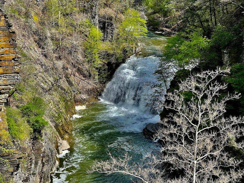 Ithaca Falls Natural Area Trail - Ithaca, Tompkins County