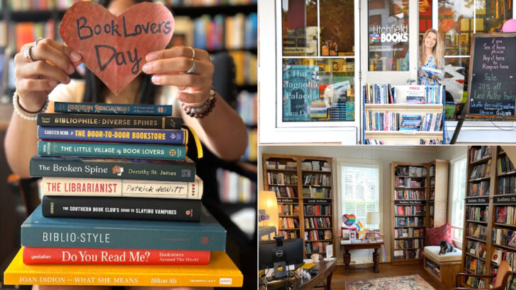 We Could Have Spent All Day Inside These 12 South Carolina Bookstores