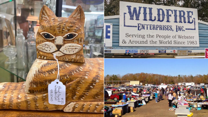 We Could Have Wandered These 12 South Carolina Flea Markets for Hours