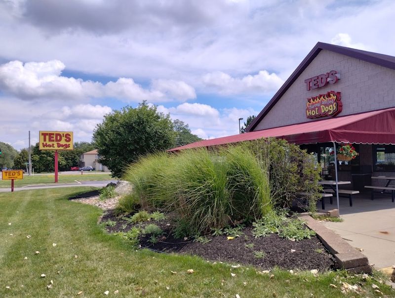 Ted's Hot Dogs