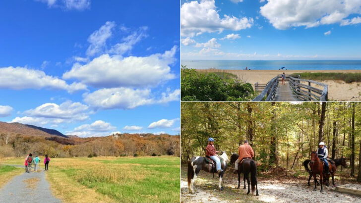 We Didn&rsquo;t Spend Much But These 10 Virginia Day Trips Felt Like A Real Getaway