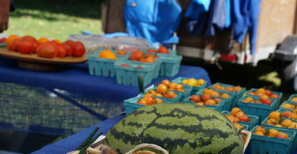 We Discovered 10 Connecticut Farmers Markets That Feel Like A Perfect August Morning