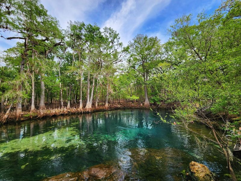 Manatee Springs State Park - Chiefland