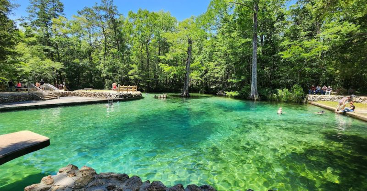 We Escaped The August Heat At These 10 Florida Swimming Spots With Crystal Clear Water