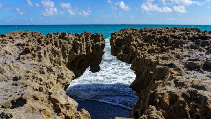 We Found 10 Florida Day Trips That Feel Like A Vacation Without The Resort Prices