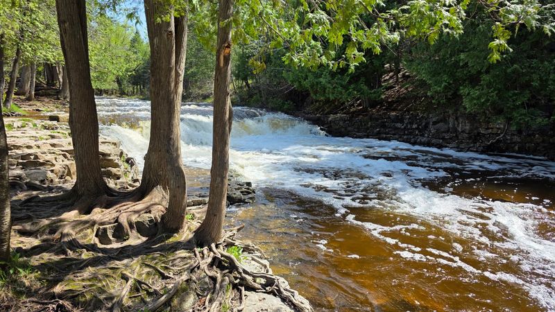 Ocqueoc Falls - Millersburg