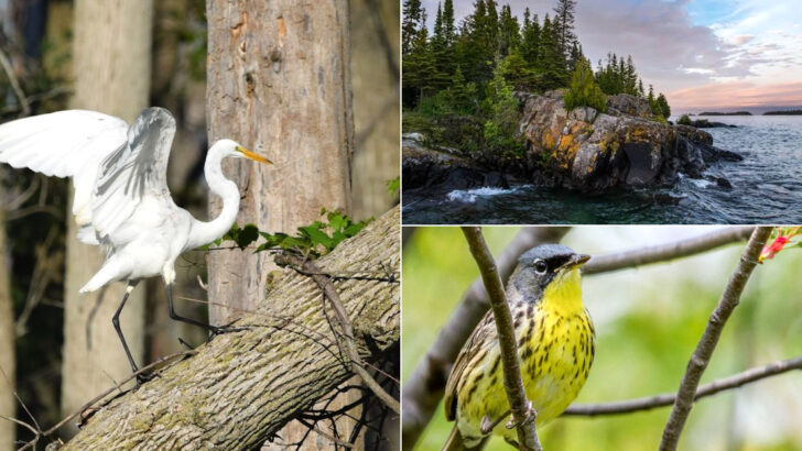 We Found 10 Michigan Wildlife Parks That Are Worth The Drive In Every Season