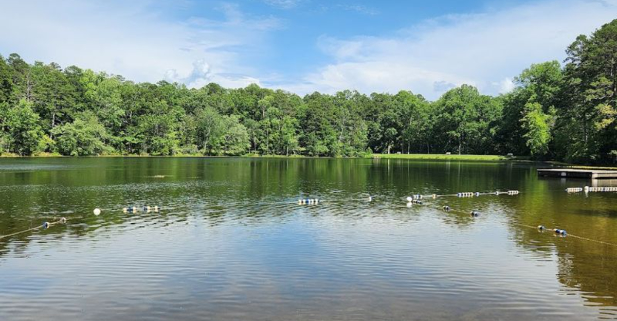 We Found 10 South Carolina Swimming Holes That Made August Heat Bearable