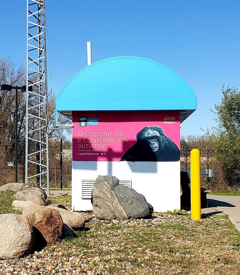 Ape Cognition and Conservation Initiative - Des Moines, Polk County, Iowa