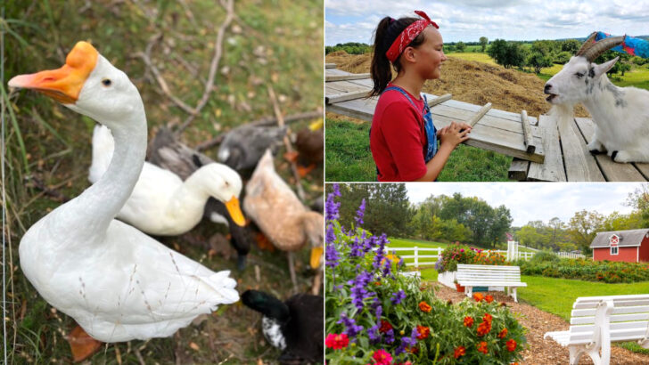 We Left These 13 Iowa Animal Sanctuaries Wanting to Come Back Soon