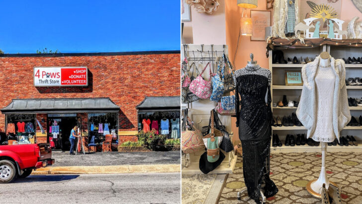 We Lost Track of Time Browsing These 11 South Carolina Thrift Stores
